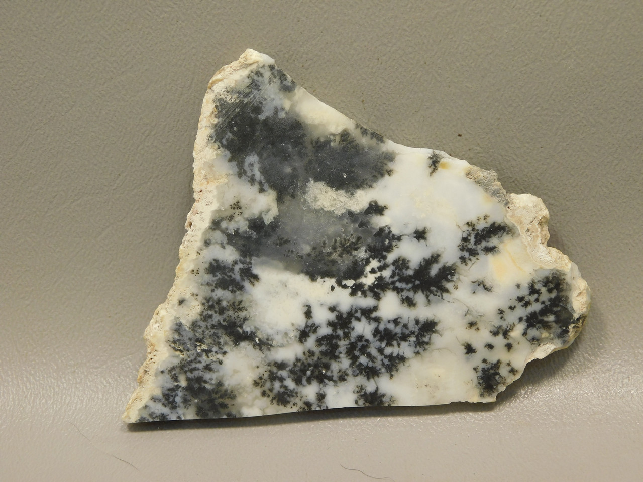 Medicine Bow Agate Stone Slab Unpolished Rough Rock Wyoming #O1