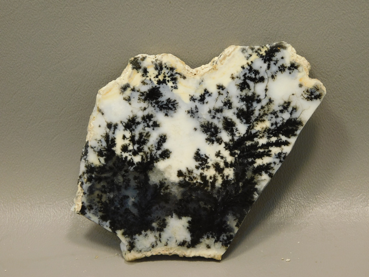 Medicine Bow Agate Stone Slab Unpolished Rough Rock Wyoming #O2