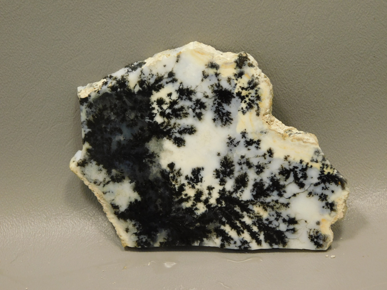 Medicine Bow Agate Stone Slab Unpolished Rough Rock Wyoming #O2