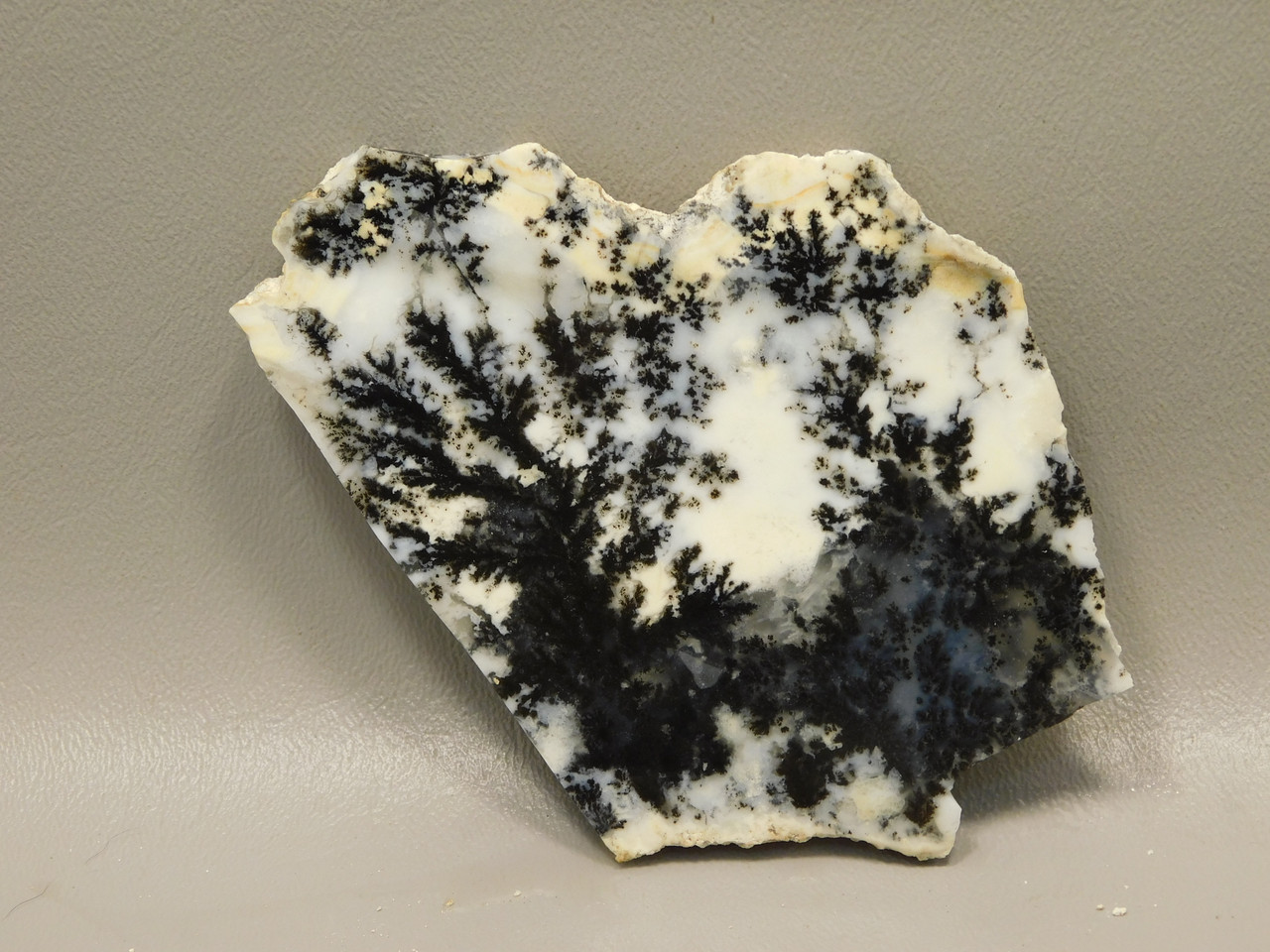 Medicine Bow Agate Stone Slab Unpolished Rough Rock Wyoming #O2