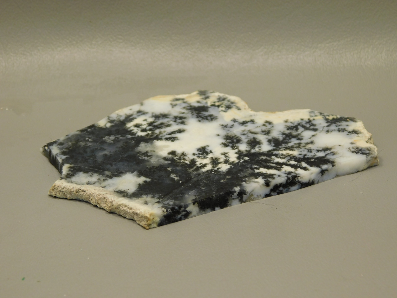 Medicine Bow Agate Stone Slab Unpolished Rough Rock Wyoming #O2