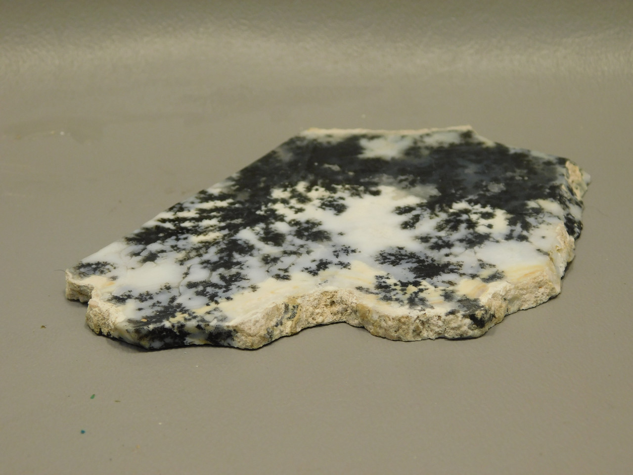 Medicine Bow Agate Stone Slab Unpolished Rough Rock Wyoming #O2