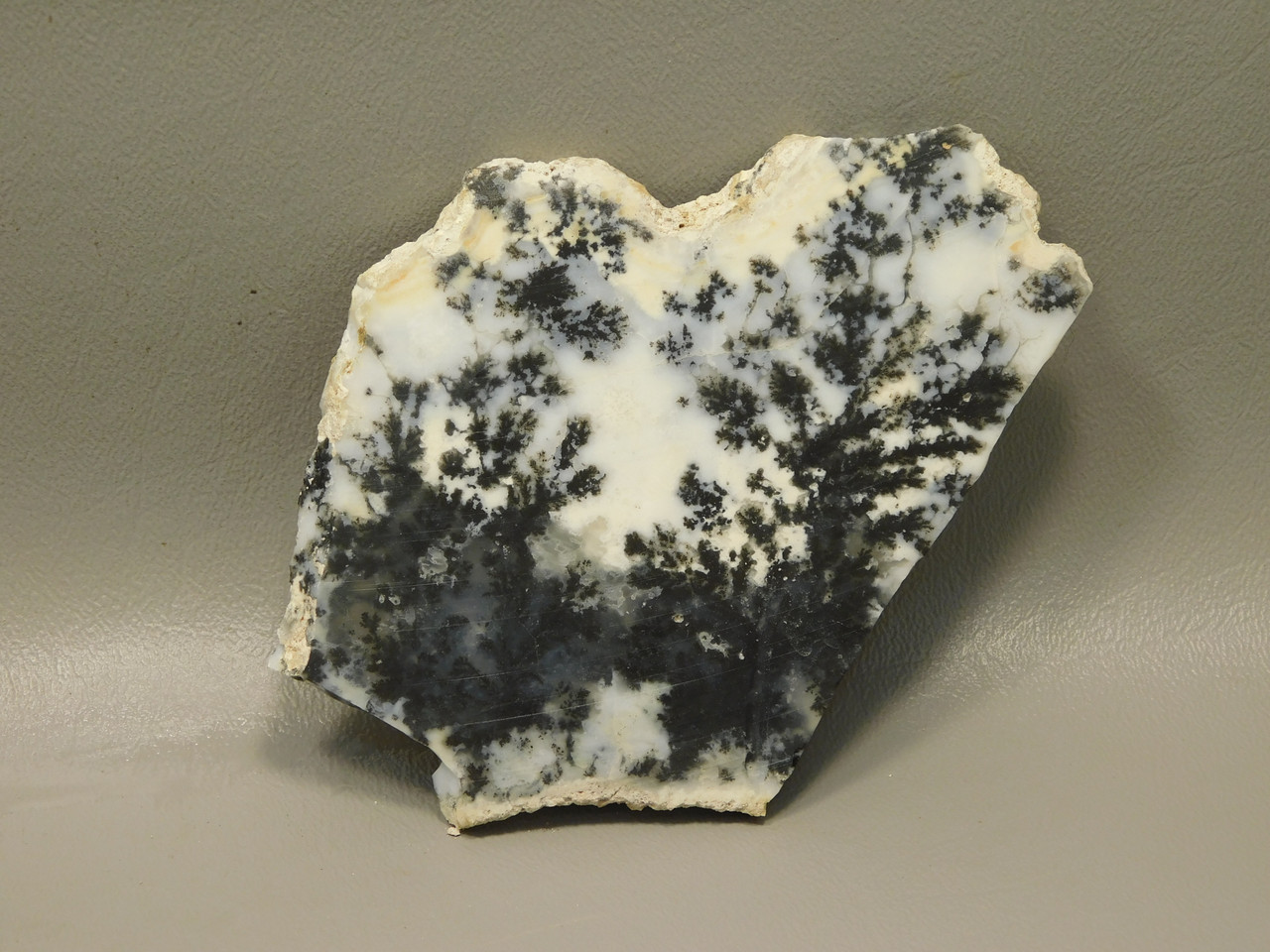 Medicine Bow Agate Stone Slab Unpolished Rough Rock Wyoming #O2