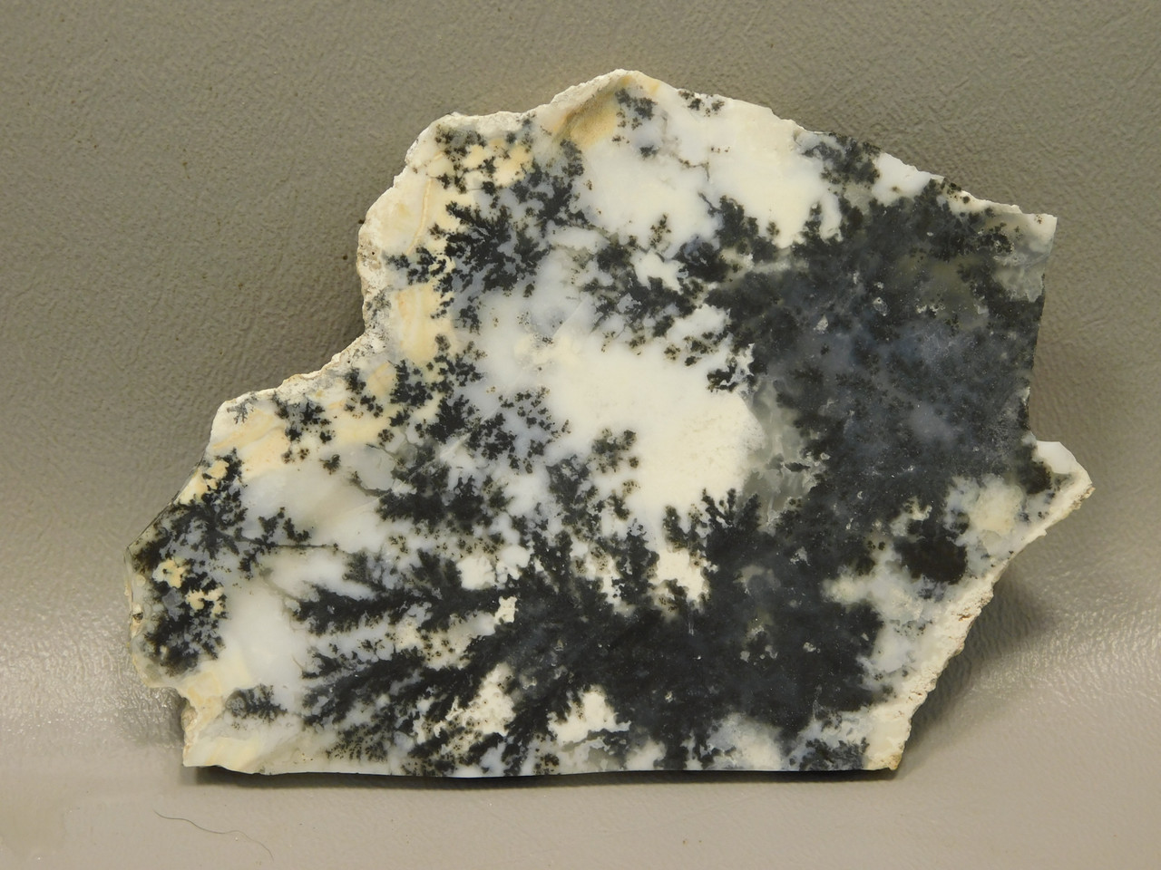 Medicine Bow Agate Stone Slab Unpolished Rough Rock Wyoming #O2