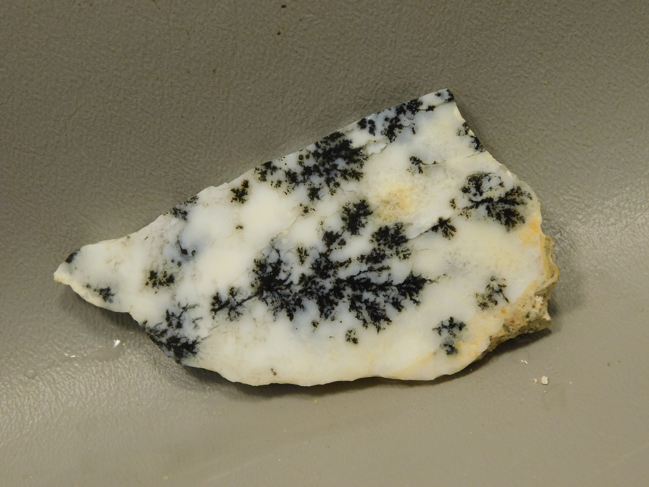 Medicine Bow Agate Stone Slab Unpolished Rough Rock Wyoming #O3