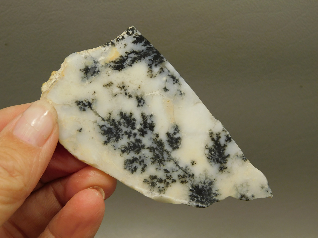 Medicine Bow Agate Stone Slab Unpolished Rough Rock Wyoming #O3