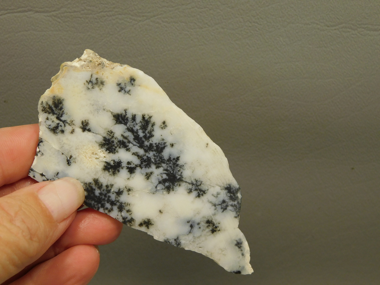 Medicine Bow Agate Stone Slab Unpolished Rough Rock Wyoming #O3