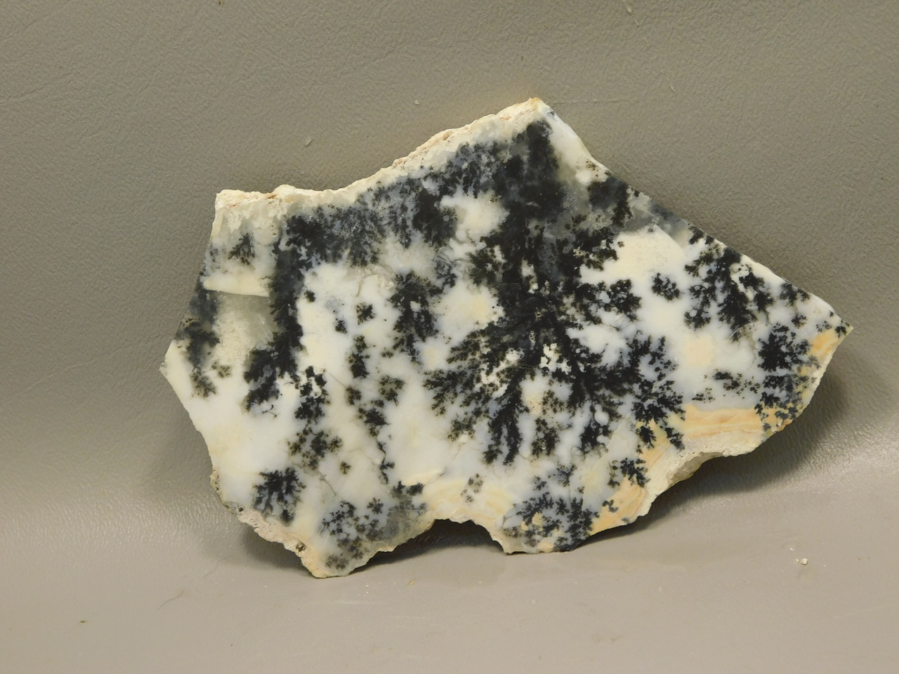 Medicine Bow Agate Stone Slab Unpolished Rough Rock Wyoming #O5