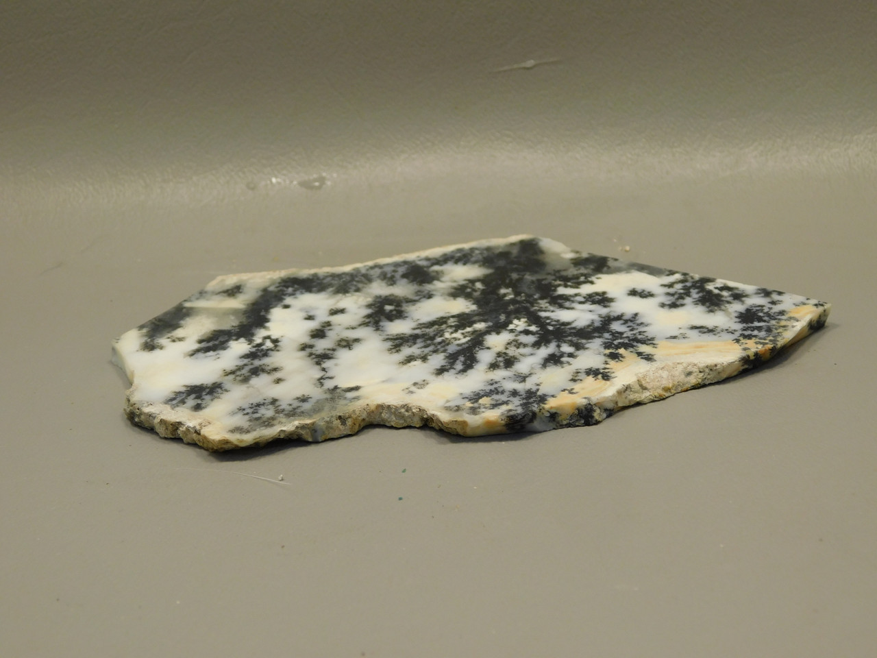 Medicine Bow Agate Stone Slab Unpolished Rough Rock Wyoming #O5