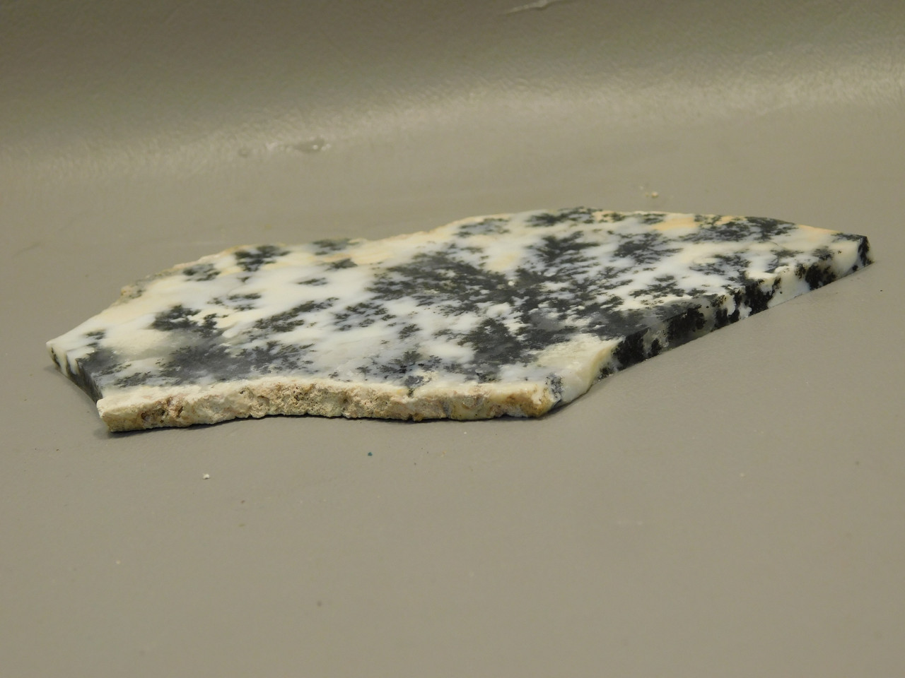 Medicine Bow Agate Stone Slab Unpolished Rough Rock Wyoming #O5