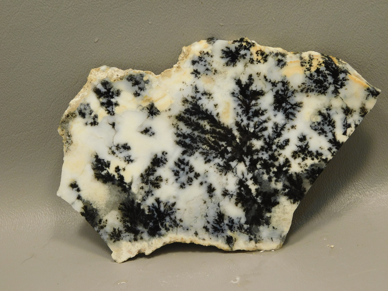 Medicine Bow Agate Stone Slab Unpolished Rough Rock Wyoming #O5