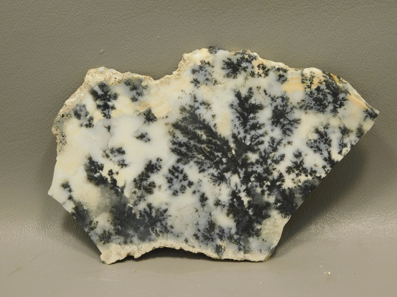 Medicine Bow Agate Stone Slab Unpolished Rough Rock Wyoming #O5