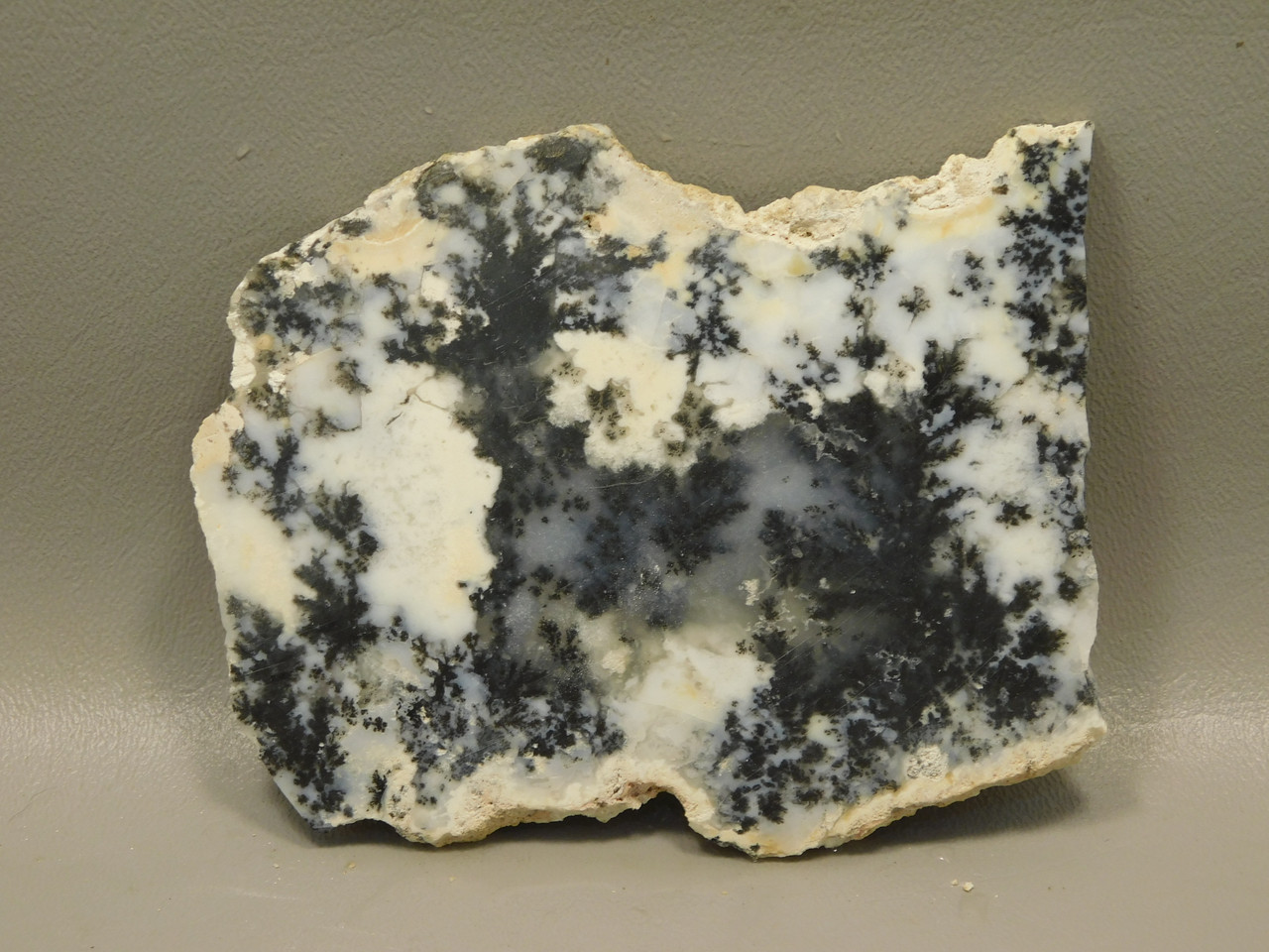 Medicine Bow Agate Stone Slab Unpolished Rough Rock Wyoming #O6