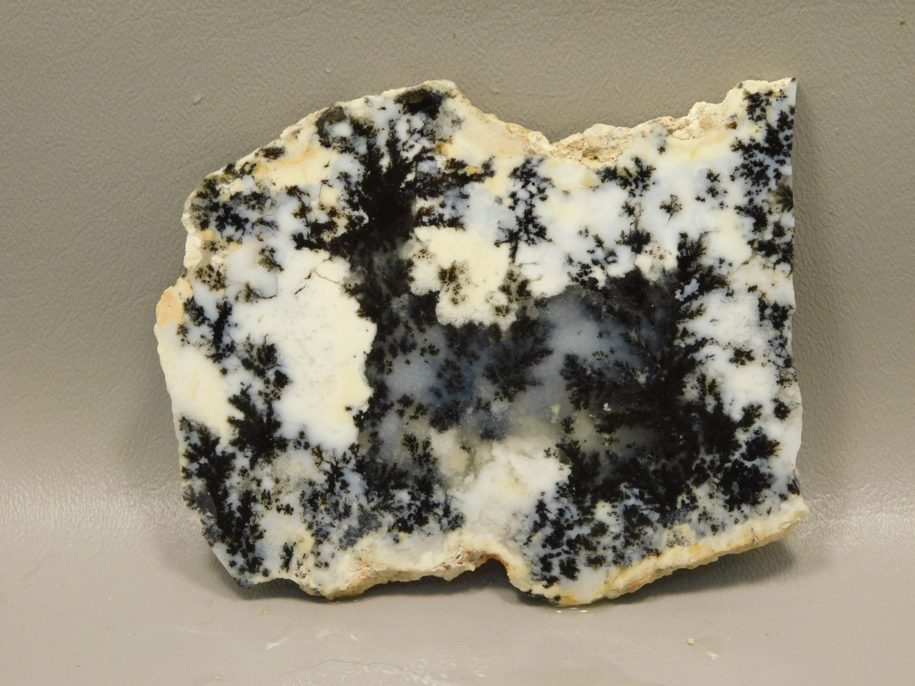 Medicine Bow Agate Stone Slab Unpolished Rough Rock Wyoming #O6