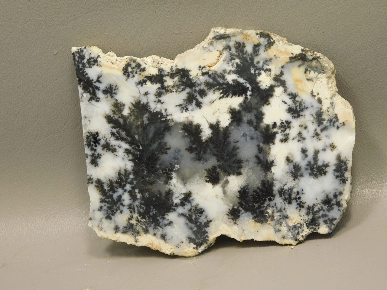 Medicine Bow Agate Stone Slab Unpolished Rough Rock Wyoming #O6