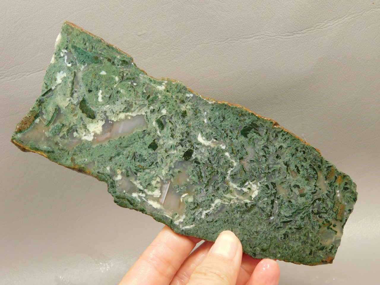 Horseshoe Canyon Agate Stone Slab Unpolished California #O3