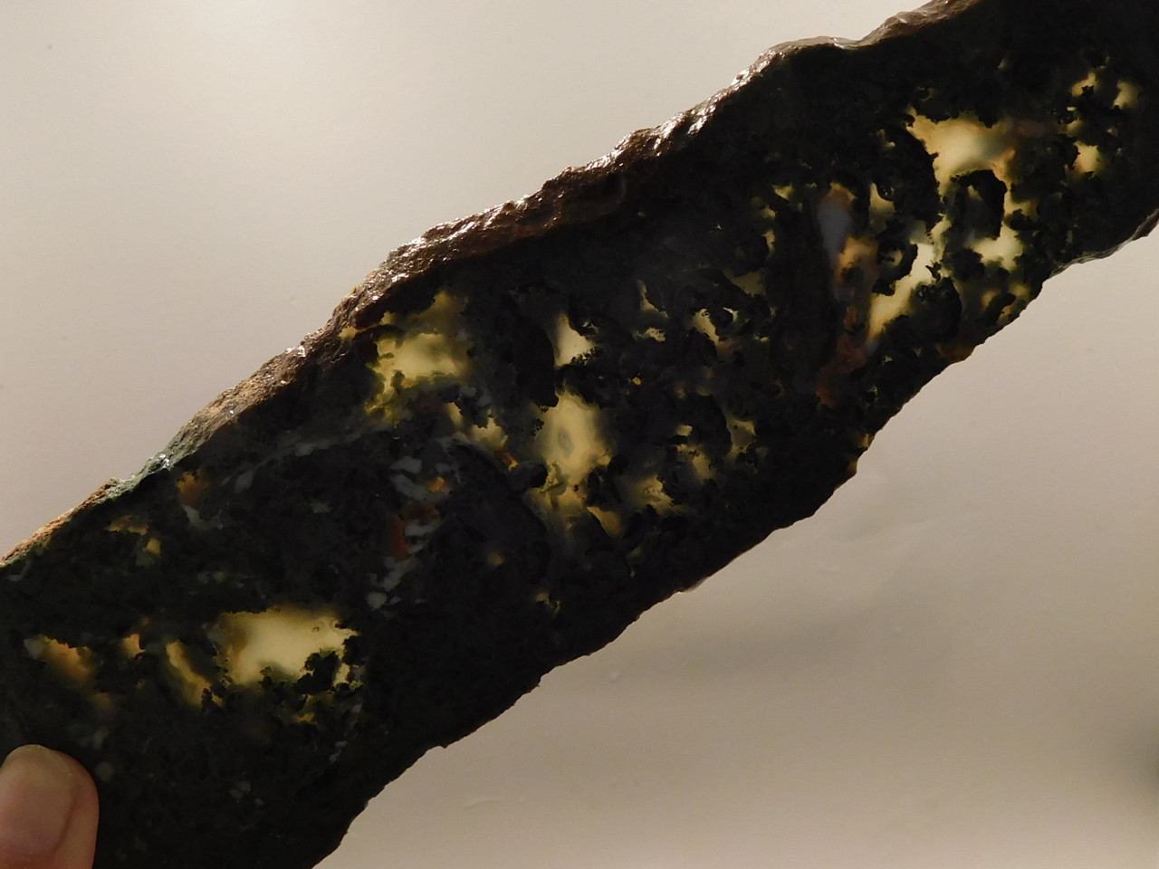 Horseshoe Canyon Agate Stone Slab Unpolished California #O4