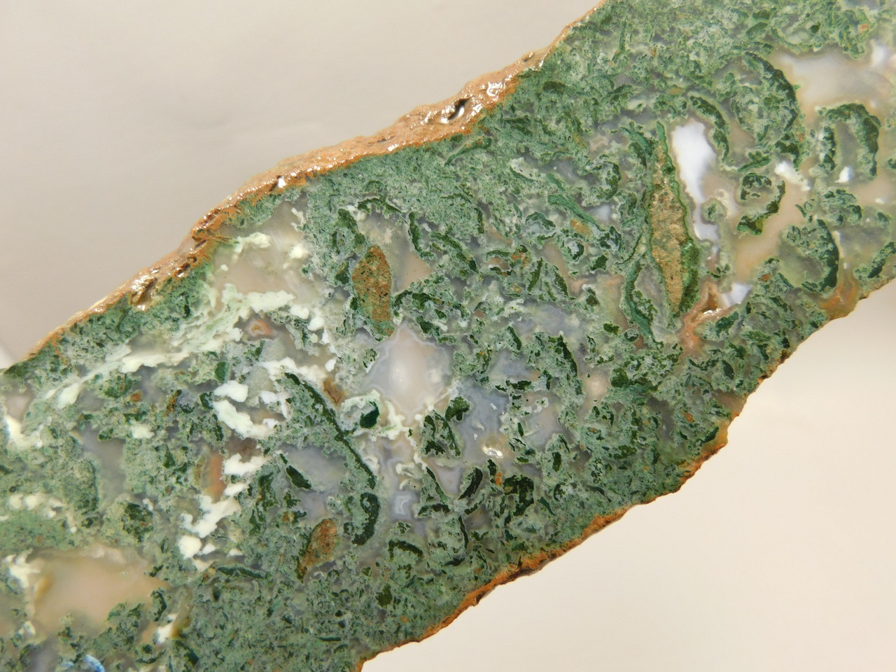 Horseshoe Canyon Agate Stone Slab Unpolished California #O4