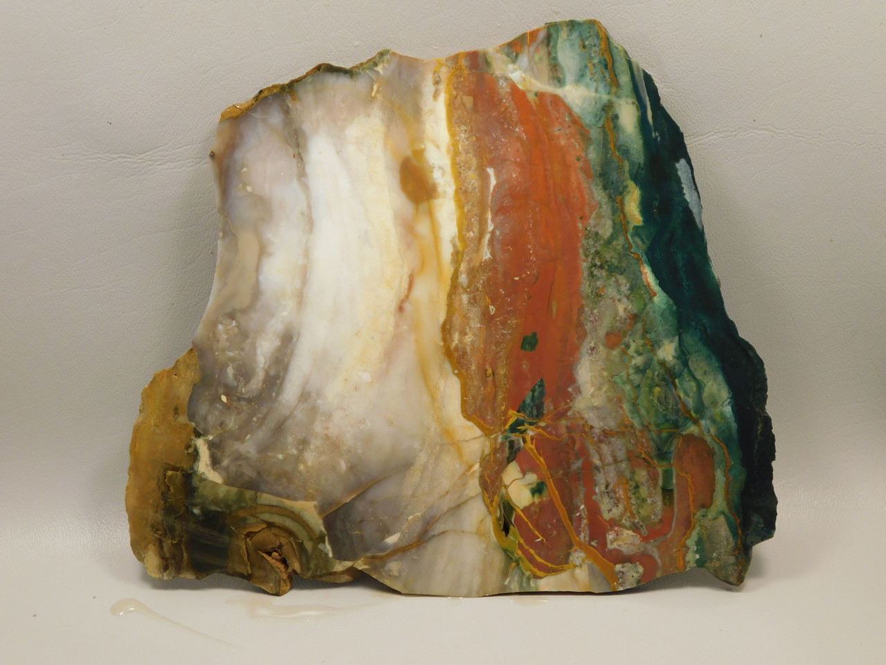Hampton Butte Petrified Wood Jasper Rough Rock Stone Slab #O2