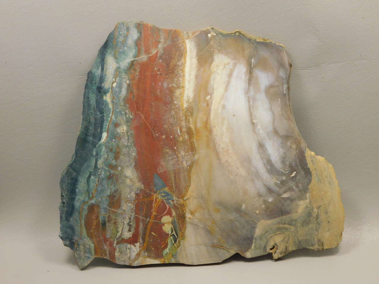 Hampton Butte Petrified Wood Jasper Rough Rock Stone Slab #O2
