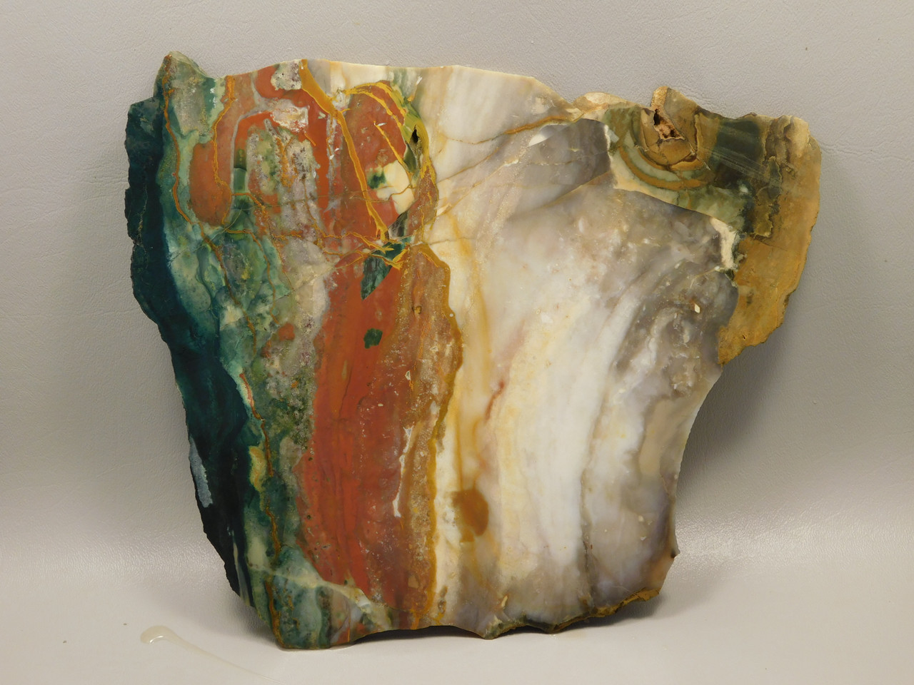 Hampton Butte Petrified Wood Jasper Rough Rock Stone Slab #O2