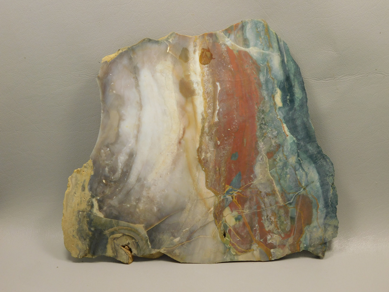 Hampton Butte Petrified Wood Jasper Rough Rock Stone Slab #O2