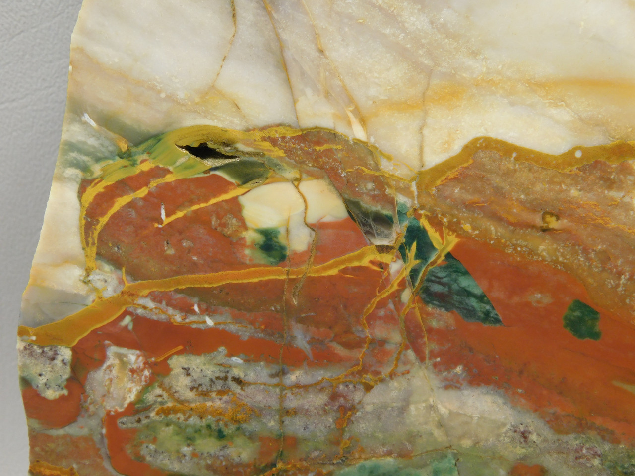 Hampton Butte Petrified Wood Jasper Rough Rock Stone Slab #O2