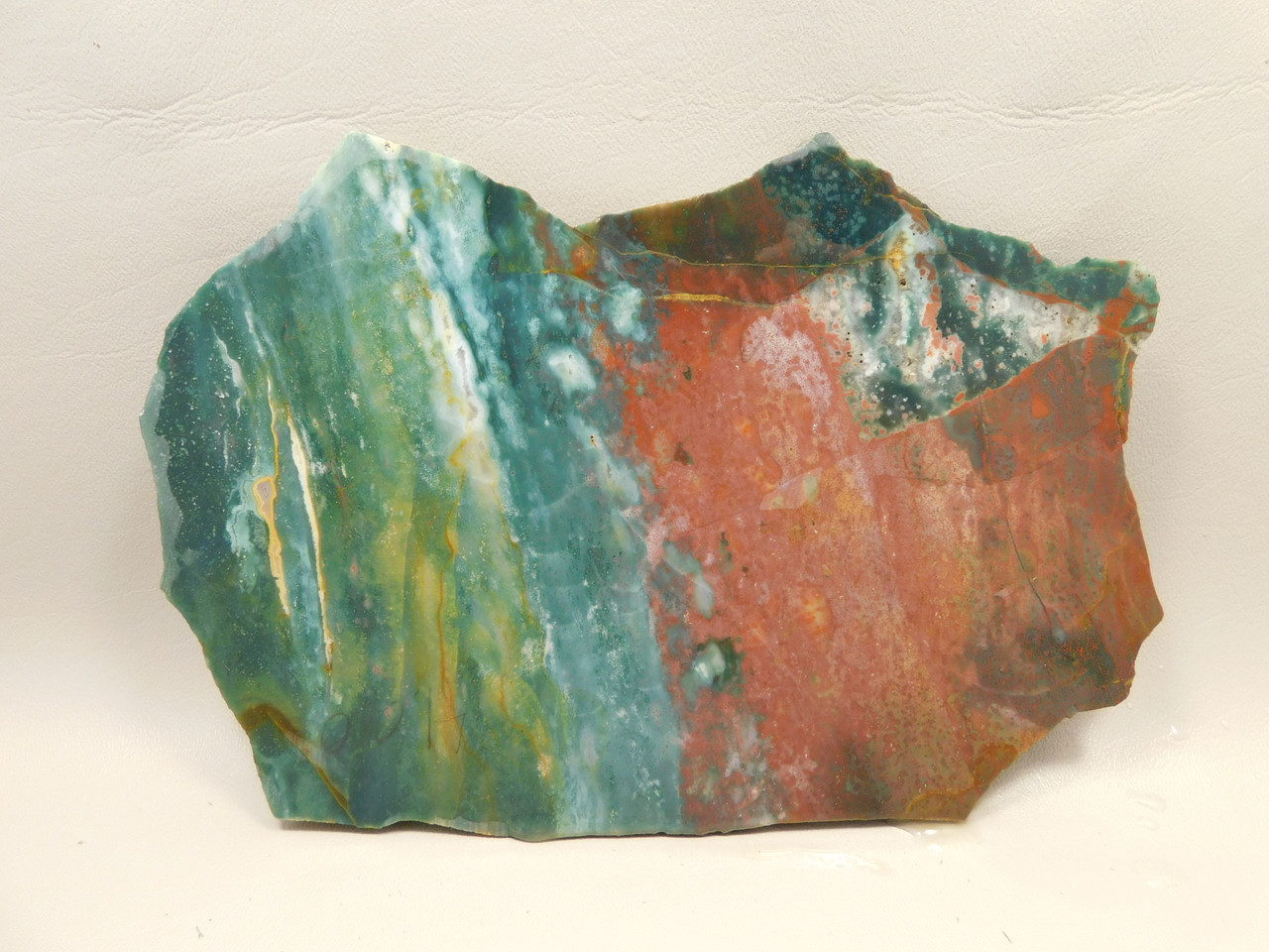 Hampton Butte Petrified Wood Jasper Rough Rock Stone Slab #O1