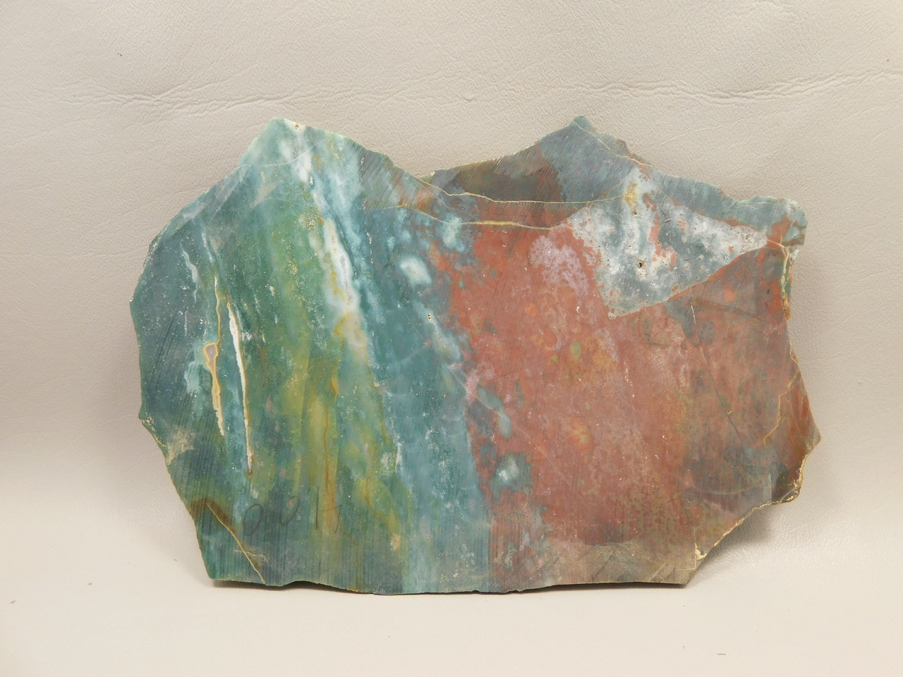 Hampton Butte Petrified Wood Jasper Rough Rock Stone Slab #O1