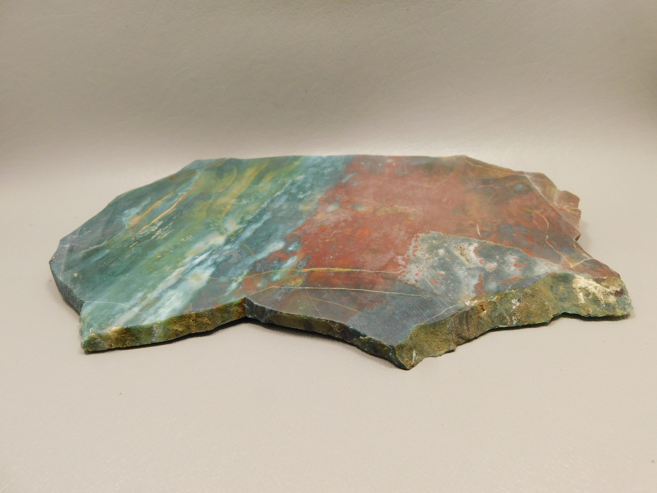 Hampton Butte Petrified Wood Jasper Rough Rock Stone Slab #O1