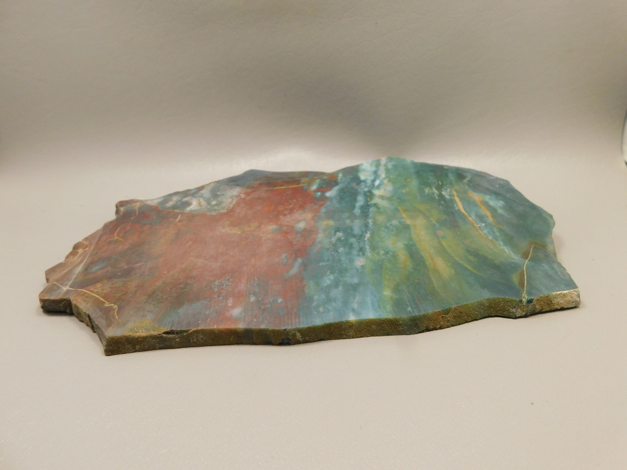 Hampton Butte Petrified Wood Jasper Rough Rock Stone Slab #O1