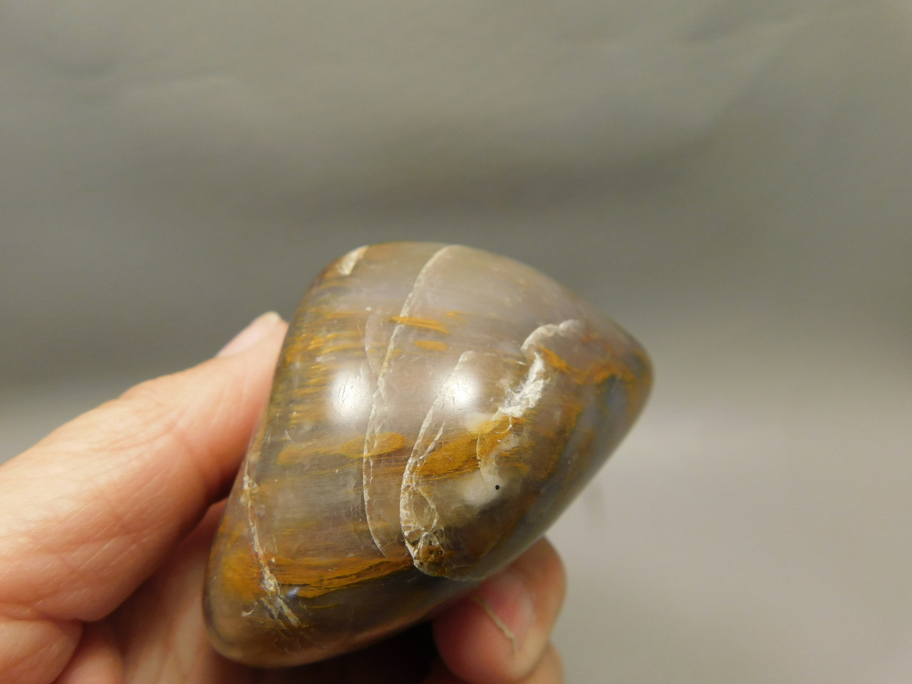 Petrified Wood Tumbled Polished Stone Grassy Mountain Oregon #O1