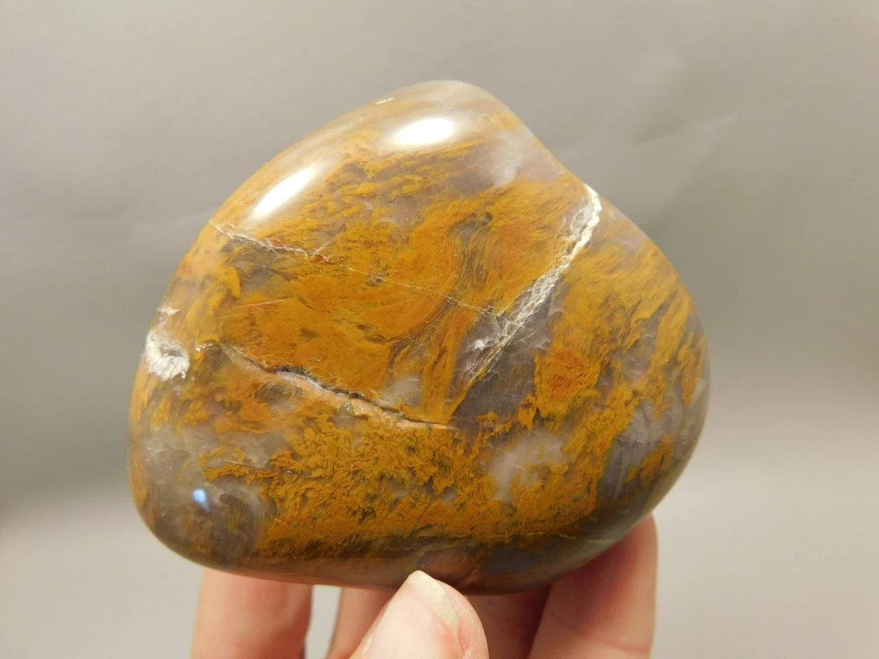 Petrified Wood Tumbled Polished Stone Grassy Mountain Oregon #O1