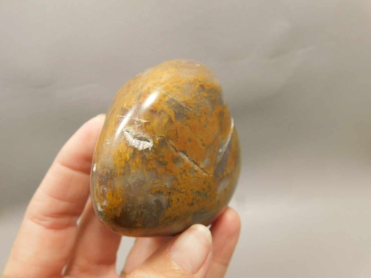 Petrified Wood Tumbled Polished Stone Grassy Mountain Oregon #O1