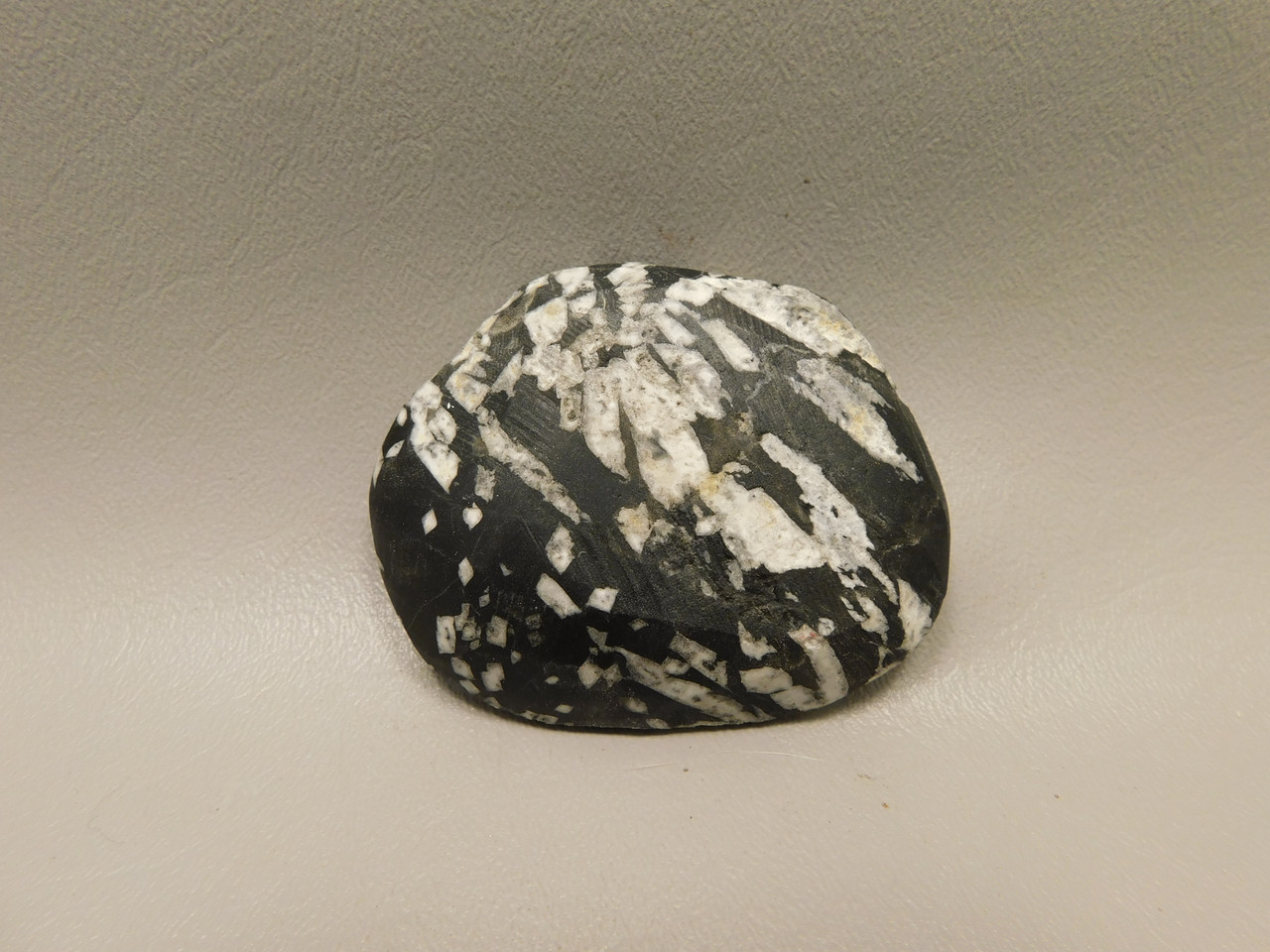 Chrysanthemum Stone 2.7 inch Palm Worry Stone Natural Rock #O11