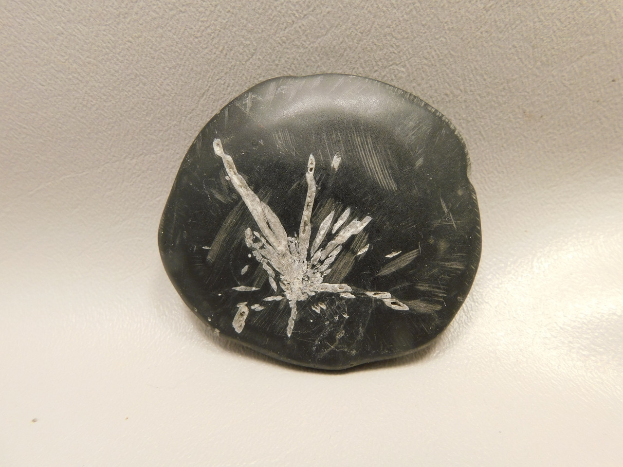 Chrysanthemum Stone 2.7 inch Palm Worry Stone Natural Rock #O15