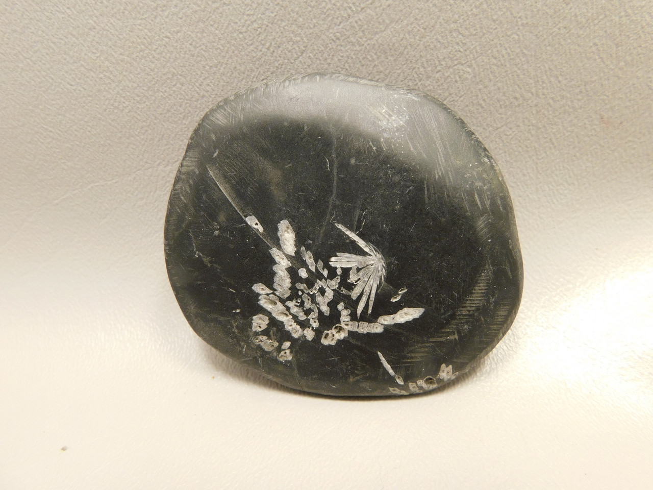 Chrysanthemum Stone 2.7 inch Palm Worry Stone Natural Rock #O15