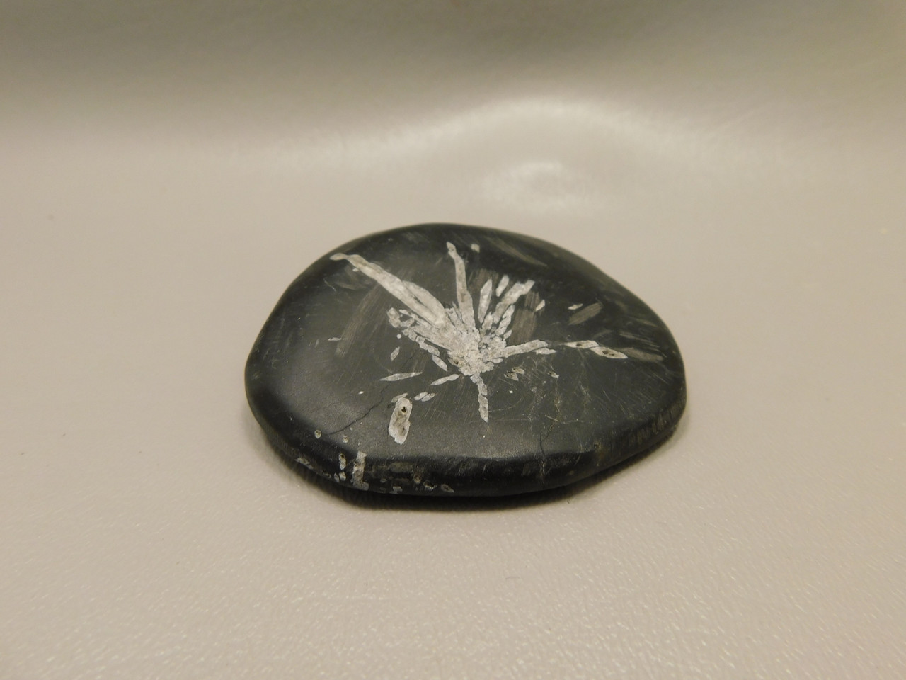 Chrysanthemum Stone 2.7 inch Palm Worry Stone Natural Rock #O15