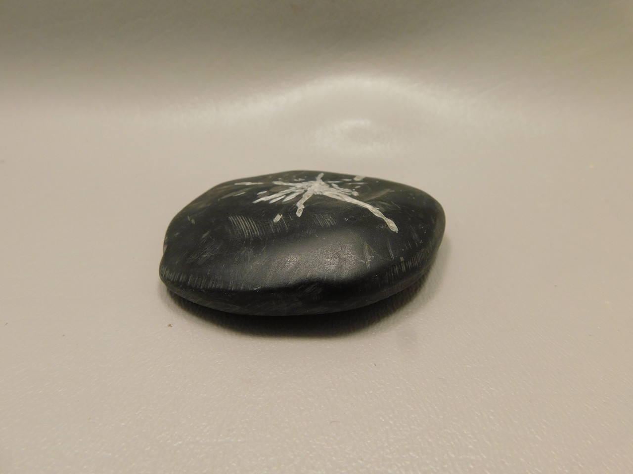 Chrysanthemum Stone 2.7 inch Palm Worry Stone Natural Rock #O15