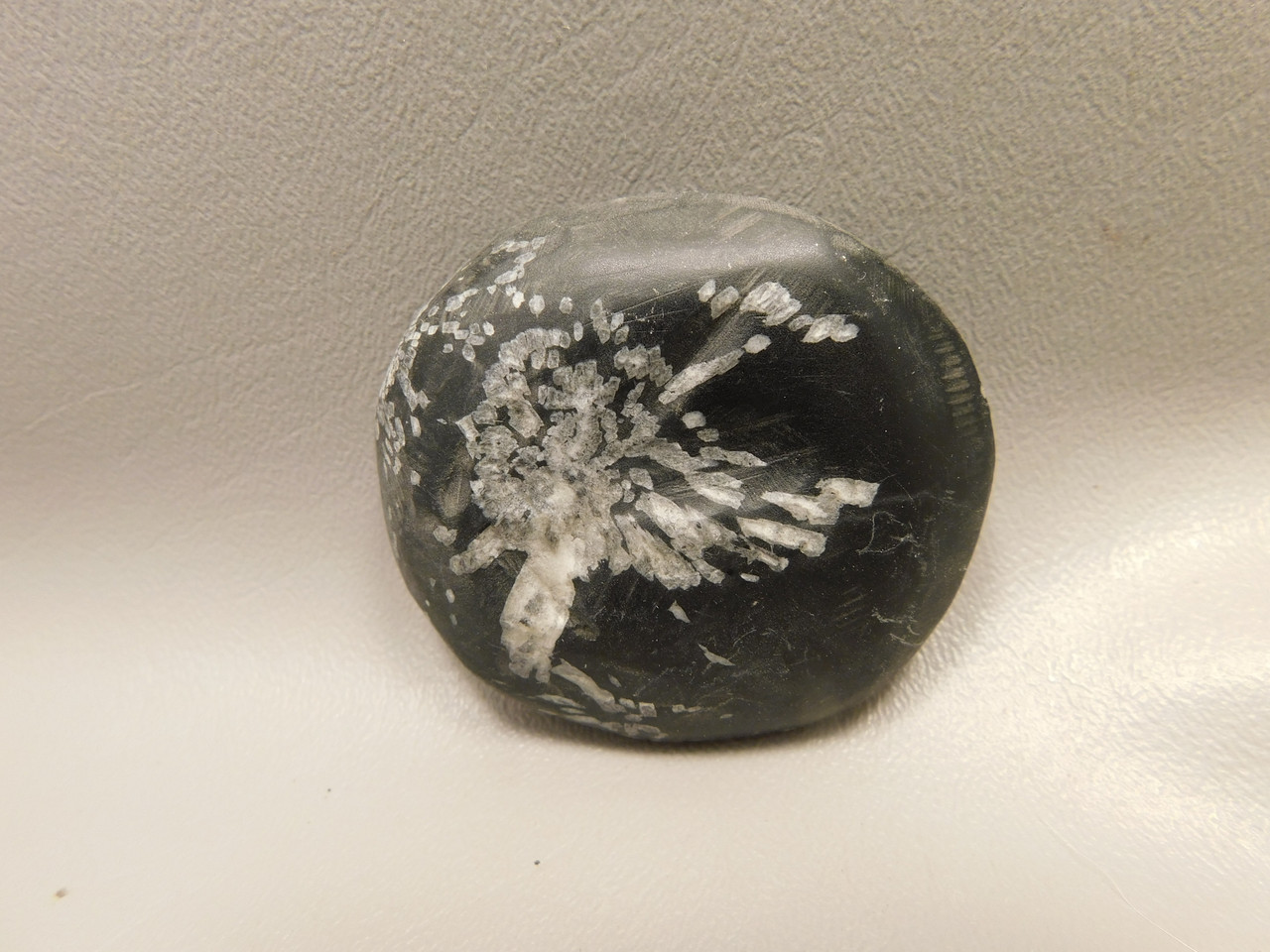 Chrysanthemum Stone 2.4 inch Palm Worry Stone Natural Rock #O19