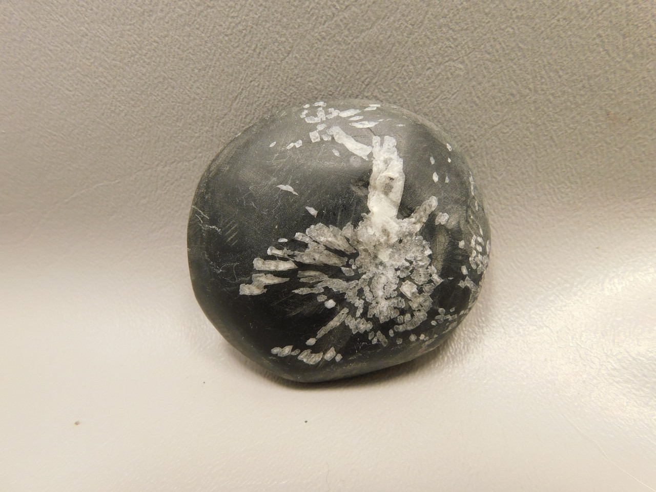 Chrysanthemum Stone 2.4 inch Palm Worry Stone Natural Rock #O19