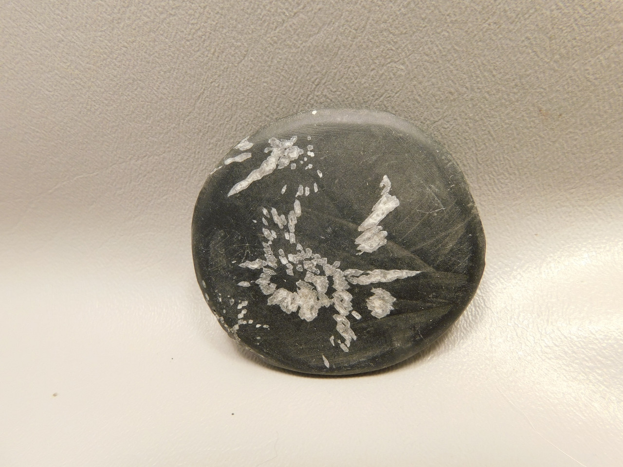 Chrysanthemum Stone 2.4 inch Palm Worry Stone Natural Rock #O19