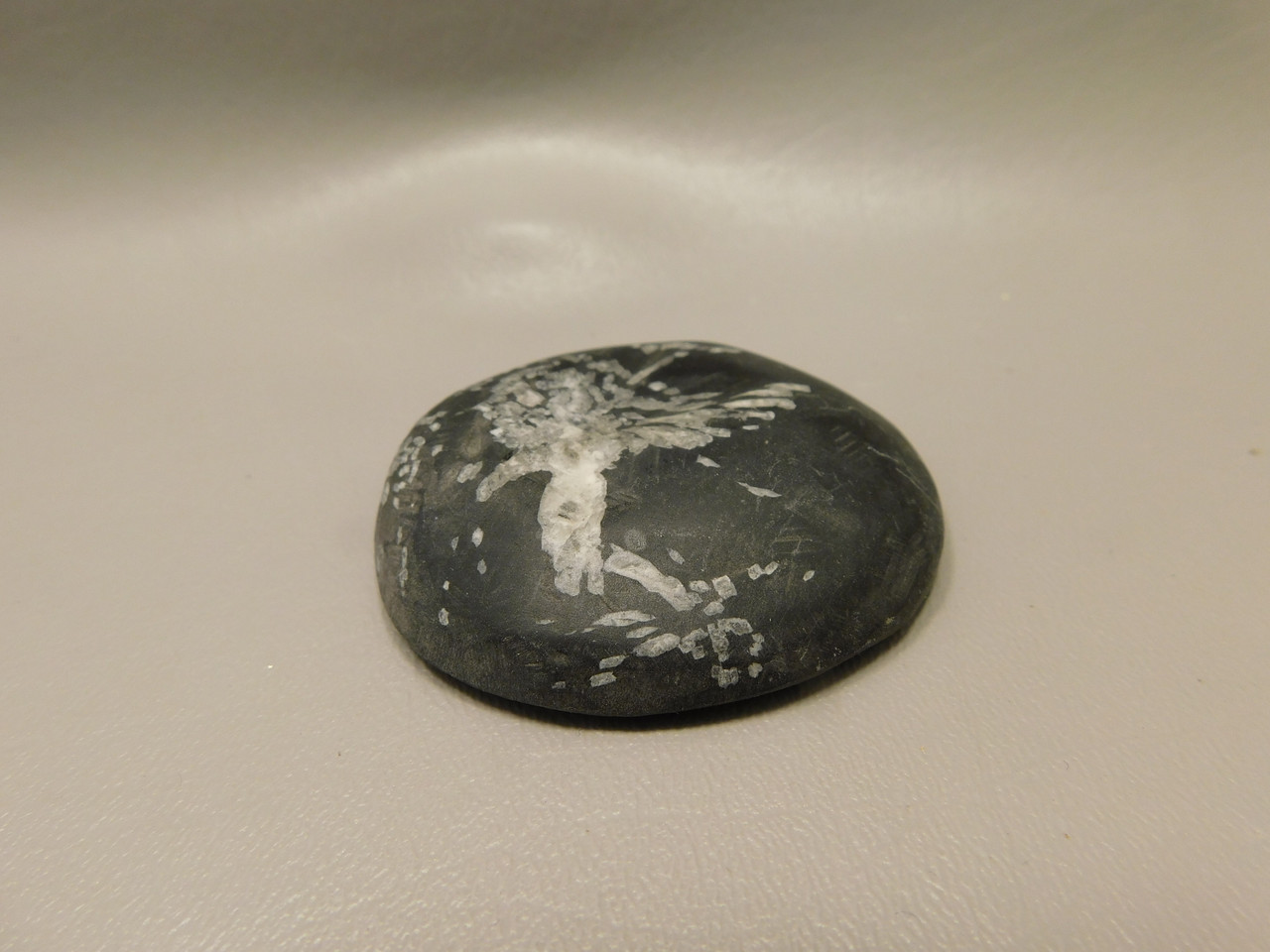 Chrysanthemum Stone 2.4 inch Palm Worry Stone Natural Rock #O19