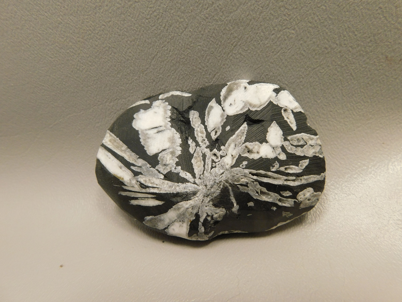 Chrysanthemum Stone 2.9 inch Palm Worry Stone Natural Rock #O20