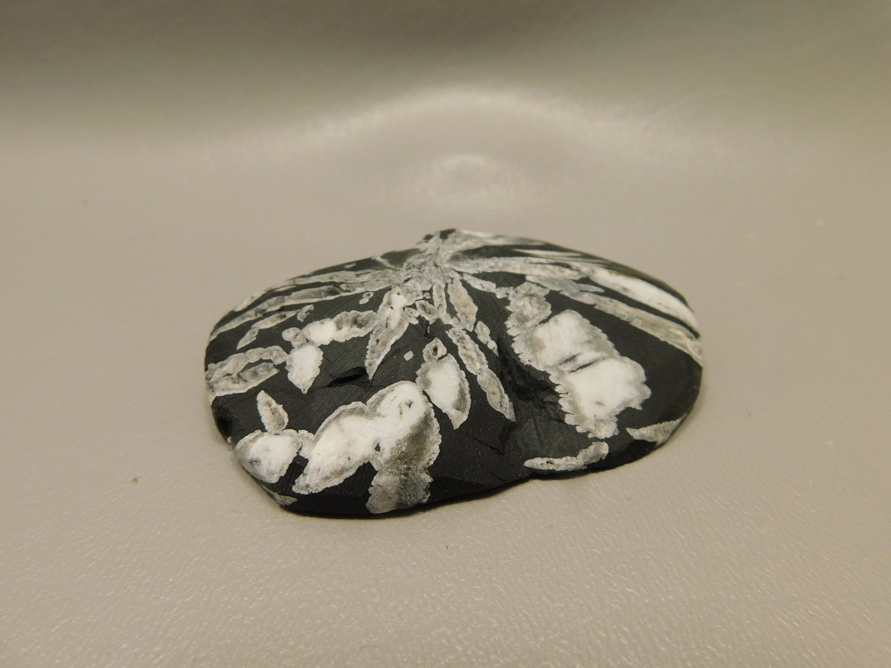 Chrysanthemum Stone 2.9 inch Palm Worry Stone Natural Rock #O20