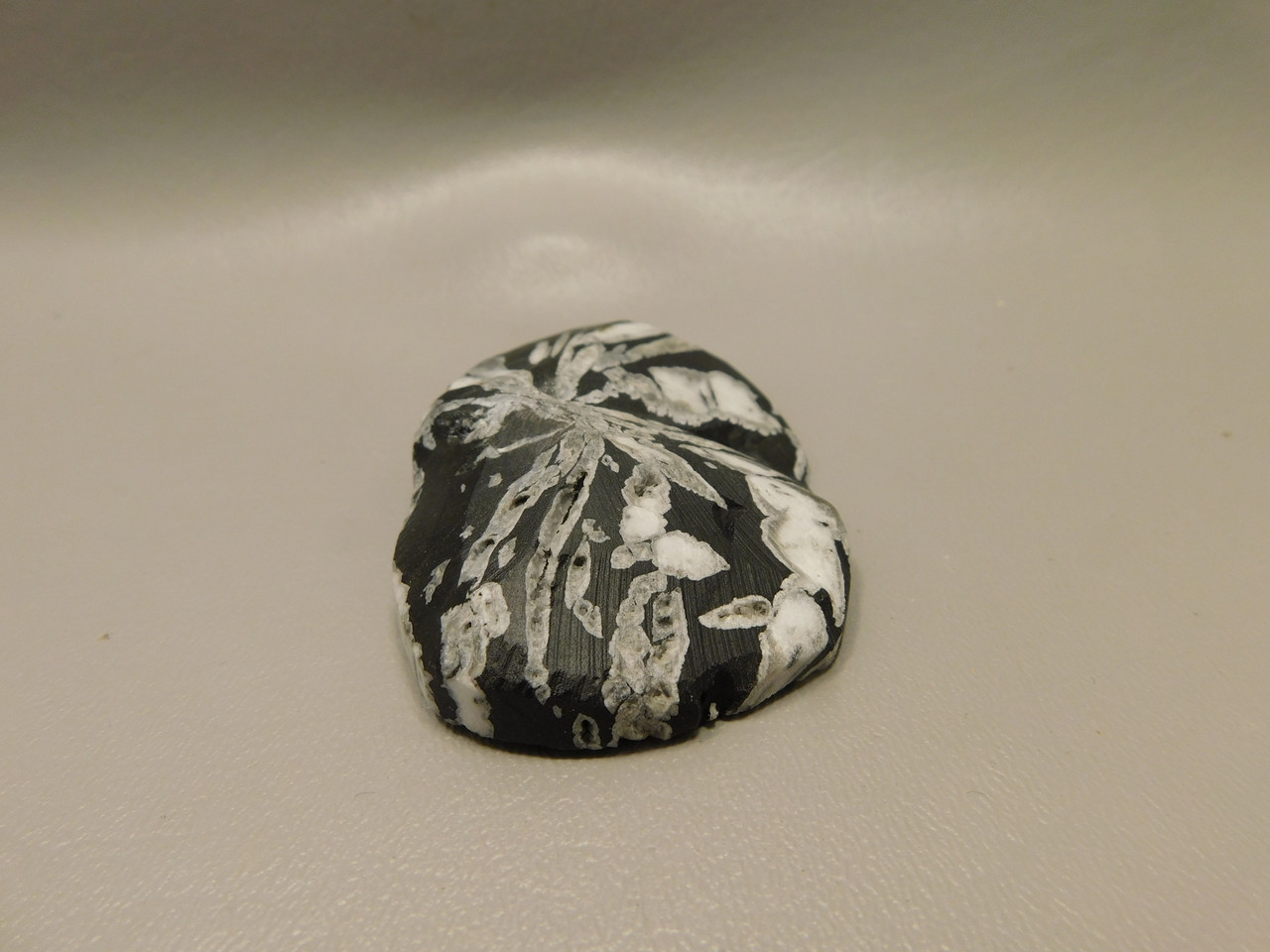 Chrysanthemum Stone 2.9 inch Palm Worry Stone Natural Rock #O20