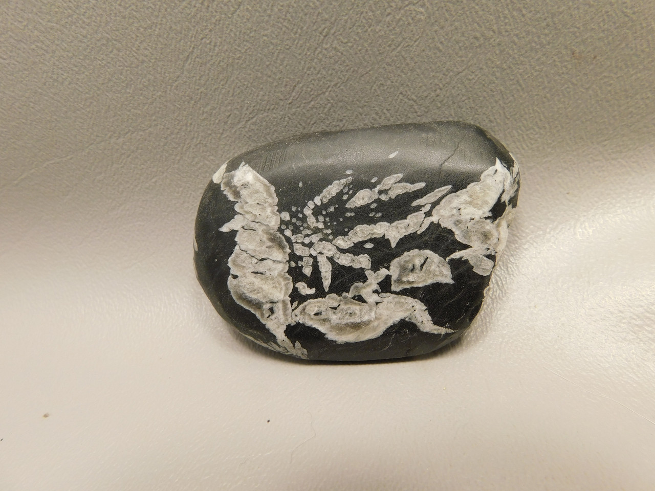 Chrysanthemum Stone 2.6 inch Palm Worry Stone Natural Rock #O21