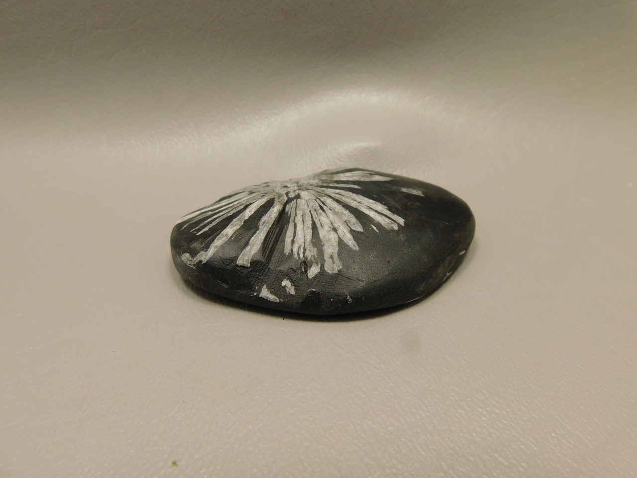 Chrysanthemum Stone 2.9 inch Palm Worry Natural Rock #O25