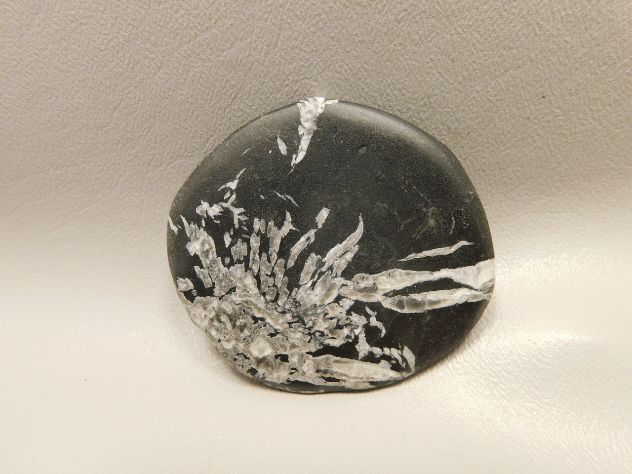 Chrysanthemum Stone 2.65 inch Palm Worry Natural Rock #O22