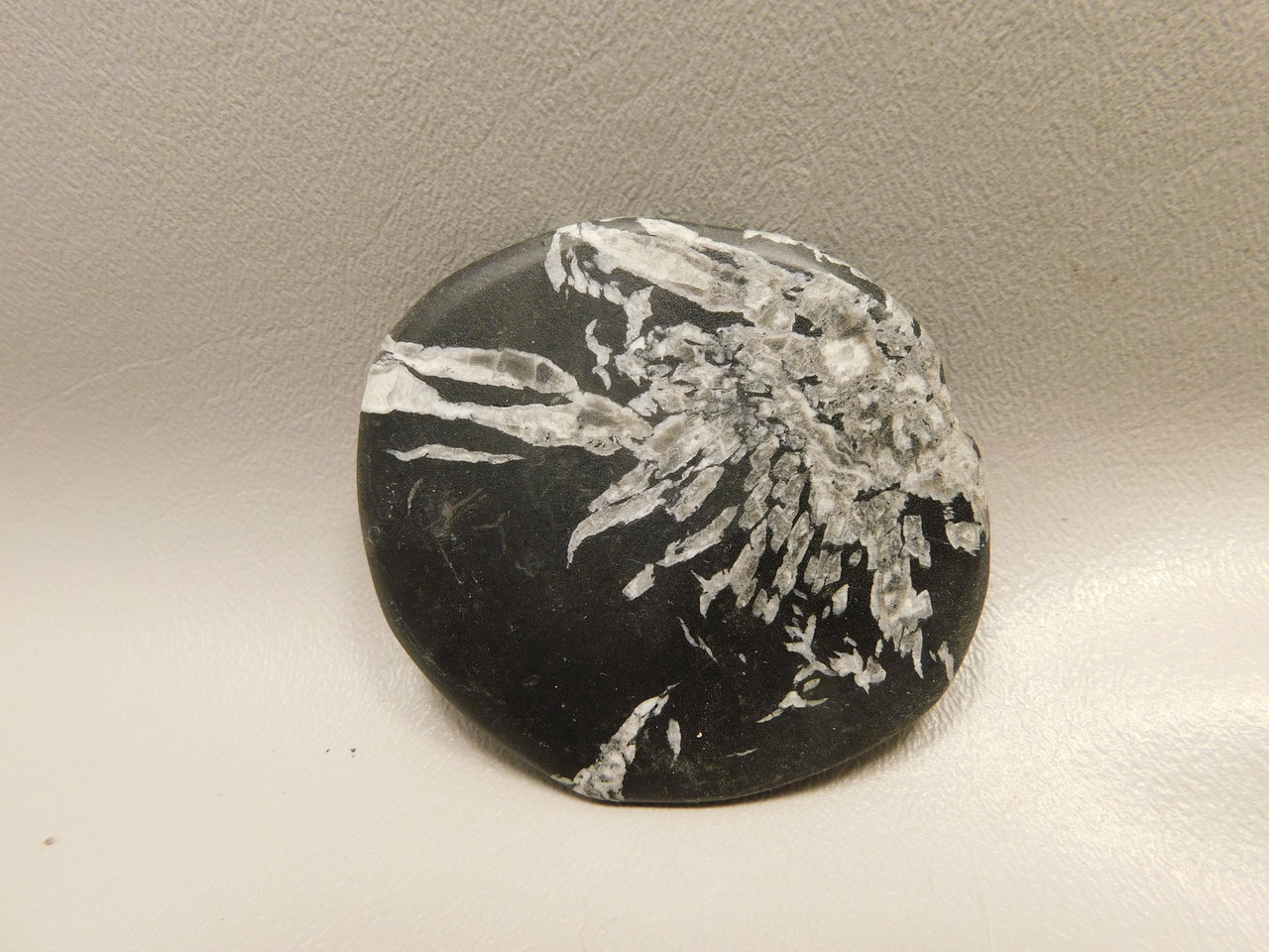 Chrysanthemum Stone 2.65 inch Palm Worry Natural Rock #O22